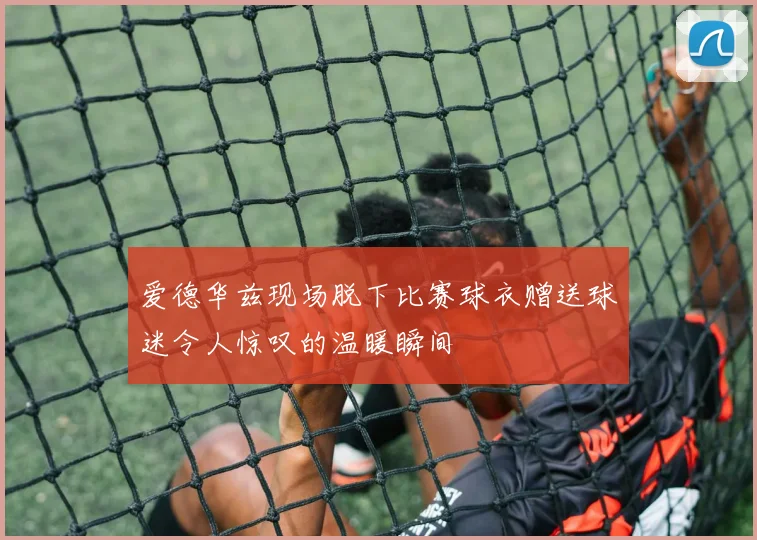 爱德华兹现场脱下比赛球衣赠送球迷令人惊叹的温暖瞬间
