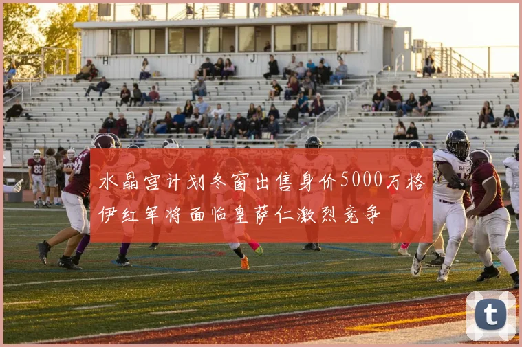 水晶宫计划冬窗出售身价5000万格伊红军将面临皇萨仁激烈竞争