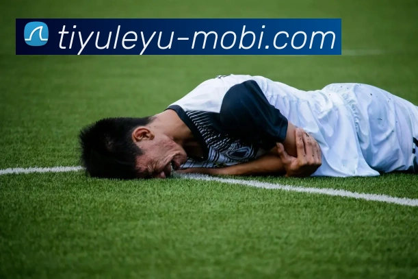 数据防护可视化